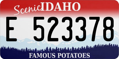 ID license plate E523378