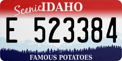 ID license plate E523384