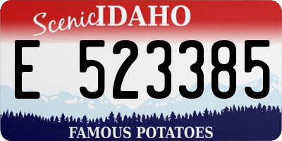 ID license plate E523385