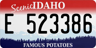 ID license plate E523386