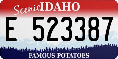 ID license plate E523387