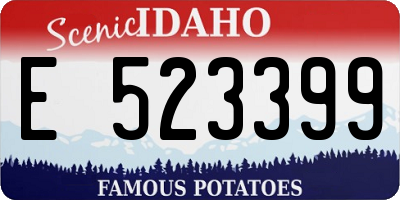 ID license plate E523399