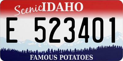 ID license plate E523401