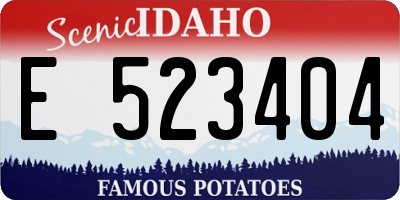 ID license plate E523404
