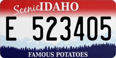 ID license plate E523405