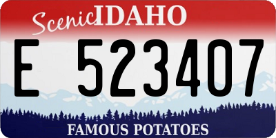 ID license plate E523407