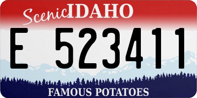 ID license plate E523411