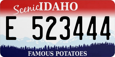 ID license plate E523444