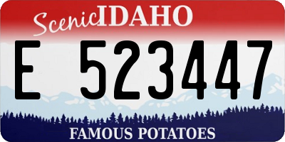 ID license plate E523447
