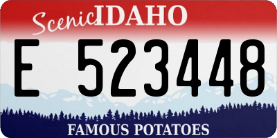 ID license plate E523448