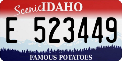 ID license plate E523449