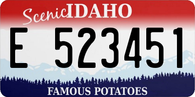 ID license plate E523451