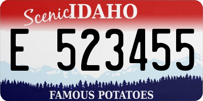 ID license plate E523455