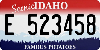 ID license plate E523458
