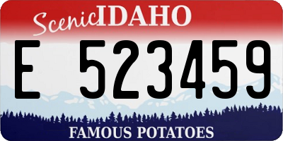 ID license plate E523459