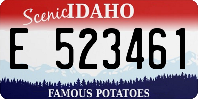 ID license plate E523461