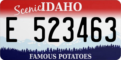 ID license plate E523463