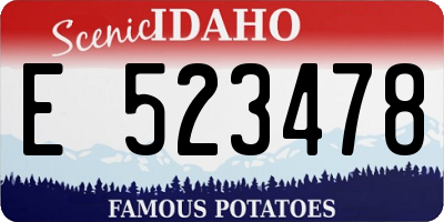 ID license plate E523478