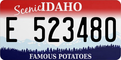 ID license plate E523480