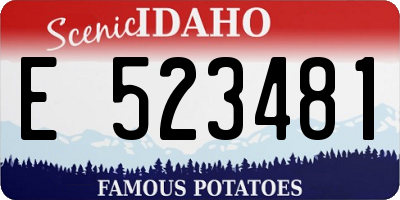 ID license plate E523481