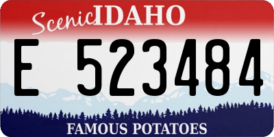 ID license plate E523484