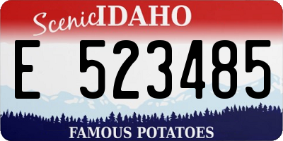 ID license plate E523485