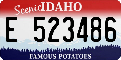 ID license plate E523486