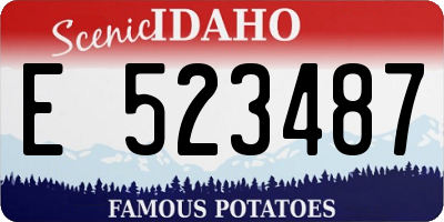 ID license plate E523487