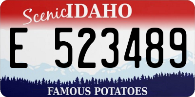 ID license plate E523489
