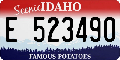 ID license plate E523490