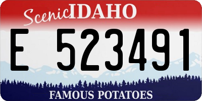 ID license plate E523491