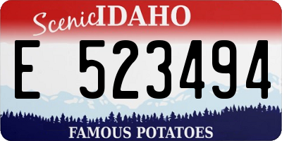 ID license plate E523494
