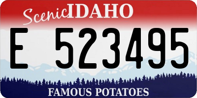 ID license plate E523495