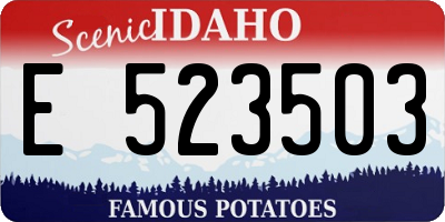 ID license plate E523503