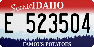 ID license plate E523504