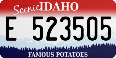 ID license plate E523505