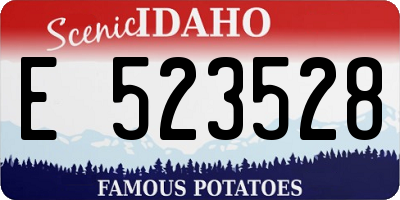 ID license plate E523528