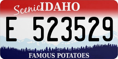ID license plate E523529