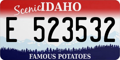 ID license plate E523532