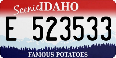 ID license plate E523533