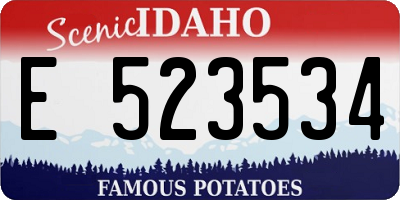 ID license plate E523534
