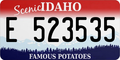 ID license plate E523535