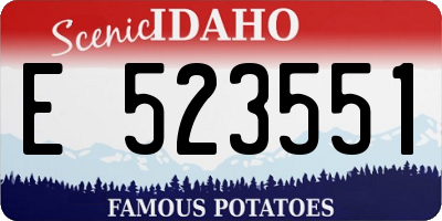 ID license plate E523551