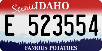 ID license plate E523554
