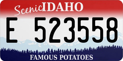 ID license plate E523558