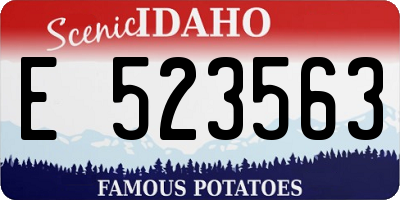 ID license plate E523563