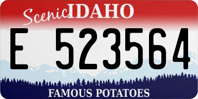 ID license plate E523564