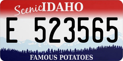 ID license plate E523565