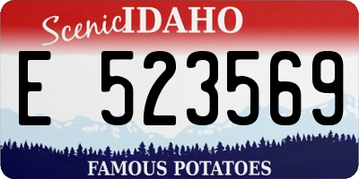 ID license plate E523569