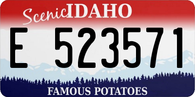 ID license plate E523571